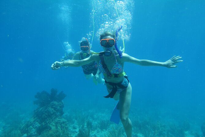 Key West SNUBA Experience - Where You Meet at Garrison Bight Marina (And How the Timing Feels)