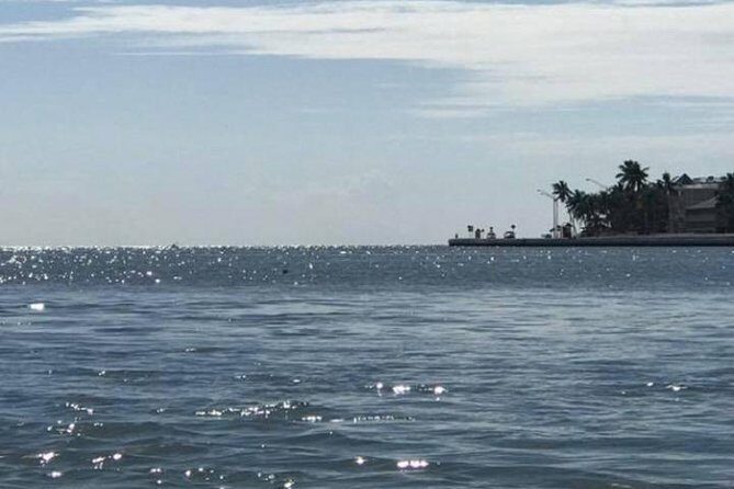 Key West Stand Up Paddleboard Rental - Key West Stand Up Paddleboard Rental: Quick Takeaways