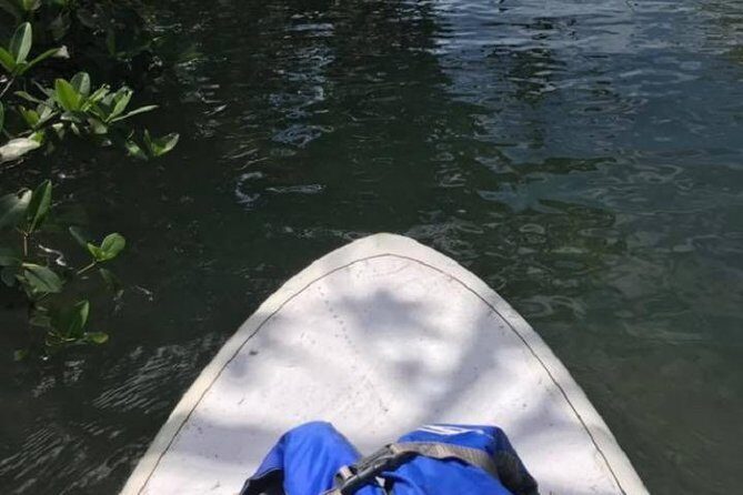 Key West Stand Up Paddleboard Rental - Why This 2-Hour Paddle Can Feel Special in Key West