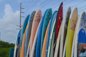 Key West Stand Up Paddleboard Rental - The Dry-Land Lesson and the Swim Rule (Read This Twice)