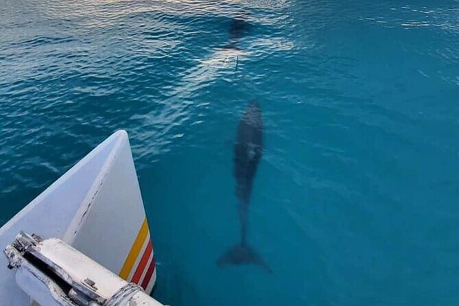 Key West Sunset Sail: Dolphin Watching, Wine, and Tapas - Getting to the Historic Seaport at 205 Elizabeth St