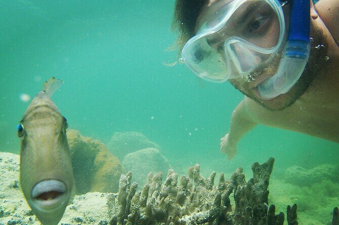 Key West: Sunset Sail + Reef Snorkel & Sandbar - Sunset Sail + Reef Snorkel: Why This Mix Works in Key West