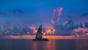 Key West: Sunset Sail with Live Band, Drinks, and Appetizers - Before You Sail: Check-In at 631 Greene Street