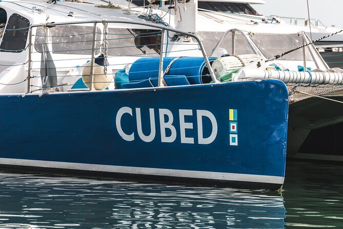Key West's Favorite Afternoon Dolphin Sail - Key highlights to know before you go