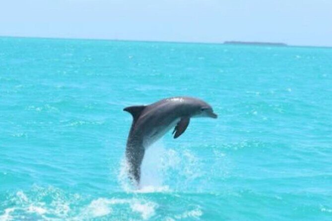 Key West's Favorite Afternoon Dolphin Sail - Getting There at 205 Elizabeth St and Finding Your Boat