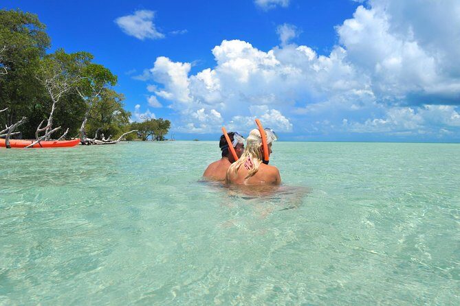 Key West's Island Adventure Sandbar Tour with Kayaking - A Custom Catamaran Route Through Mangrove Lake Passage