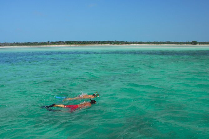 Key West's Island Adventure Sandbar Tour with Kayaking - Sandbar Hang Time: Lunch, Drinks, and Lounge-Ready Water