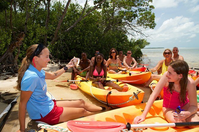 Key West's Island Adventure Sandbar Tour with Kayaking - Kayaking and Paddleboarding: What the Paddling Actually Feels Like