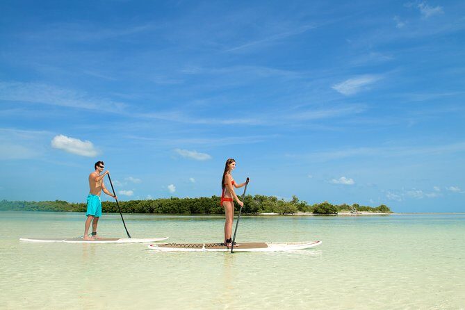 Key West's Island Adventure Sandbar Tour with Kayaking - Price and Value at $119.95 for 3.5 Hours