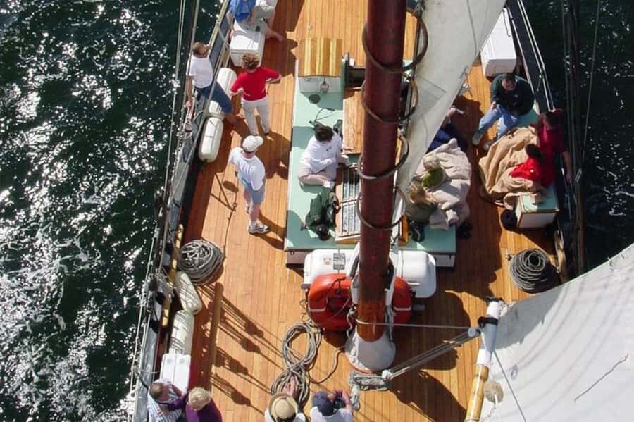 Key West's Schooner Appledore Star Champagne Sunset Sail - Key takeaways before you go