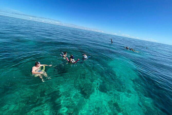Marathon: COMBO- Snorkel & Sandbar (Coffins Patch Reef) - Weather Reality: Plan for the Sea State