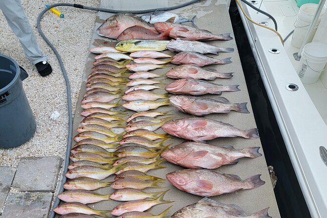 Marathon Florida Keys Fishing Experience - Gear, bait, bathroom, and what you should bring anyway