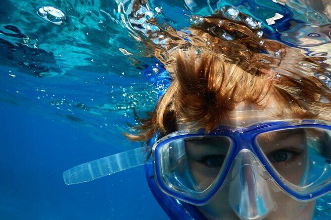 Marathon Key: 3-hour Snorkeling adventure on a Pontoon at Sombrero Reef - Sombrero Reef: the main event for fish, coral, and turtles
