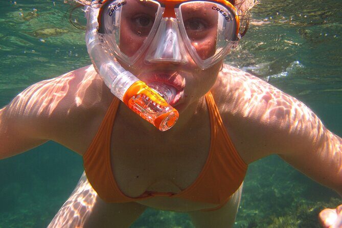 Marathon Key: 3-hour Snorkeling adventure on a Pontoon at Sombrero Reef - Alligator Reef Light House: more than a postcard pass