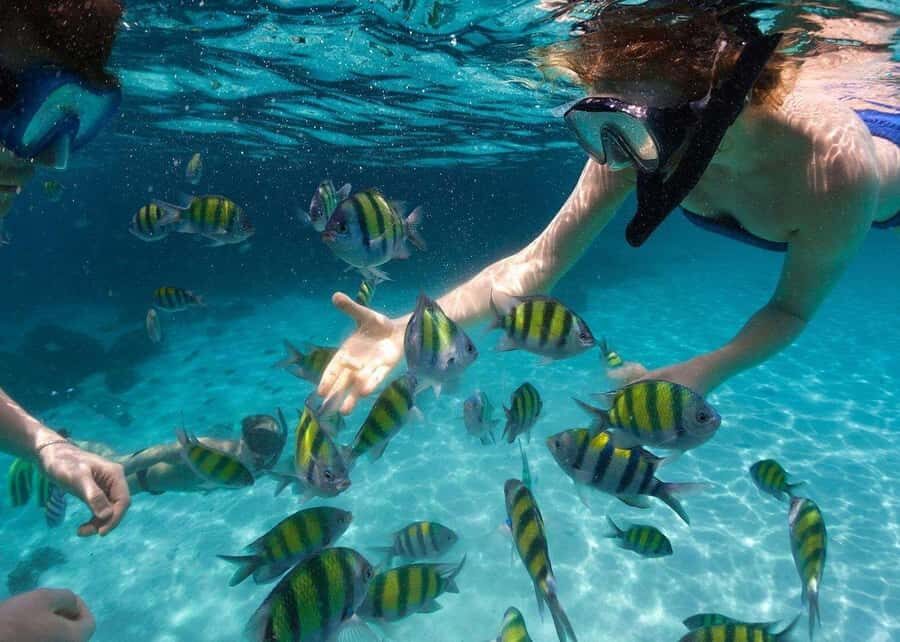 Miami to Key West Day Trip with Optional Activities - Key Highlights You’ll Actually Care About