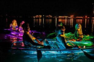 Night Glow Kayak Paddle Session in Key West, FL - Wildlife in LED Light: Rays, Jellyfish, and Fish You Might See
