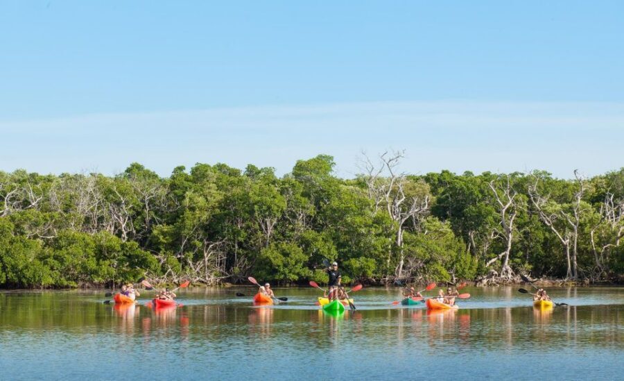 Premium Day Sail, Snorkel &, Kayak with Lunch - Key Highlights You’ll Actually Feel