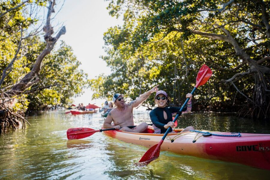 Premium Day Sail, Snorkel &, Kayak with Lunch - Eco Guides and the Wildlife Refuge Learning Moment