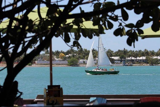 Private 90-Minute Harbor Sailing Charter in Key West - Private Harbor Sailing Charter on HIGH TIDE: the vibe and the payoff