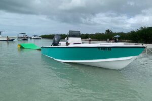 Private Boat Tour to Sand Bar Snorkel Dolphins and Sunset - Florida Keys Mangrove Islands: Paddle, Snorkel, Swing, and Take Photos