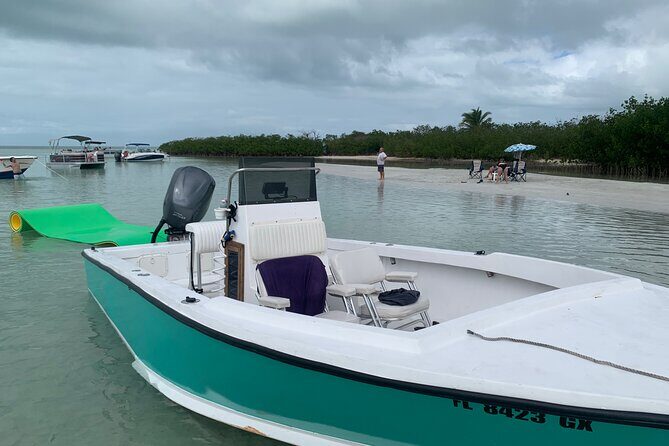 Private Boat Tour to Sand Bar Snorkel Dolphins and Sunset - Sand Bar Time and Wildlife Encounters That Actually Show Up