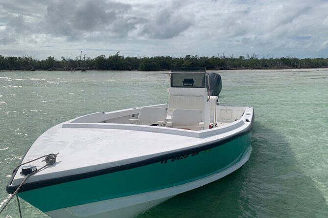 Private Boat Tour to Sand Bar Snorkel Dolphins and Sunset - The Sunset Angle: How to Time Your Mood, Not Just the Clock