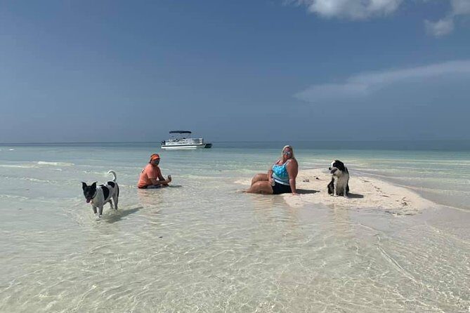 Private Key West Sandbar and Paddle by Boat - Key highlights I’d plan around