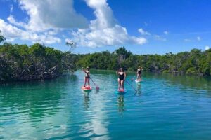 Private Key West Sandbar and Paddle by Boat - The pontoon ride: why this boat is the right tone for paddling