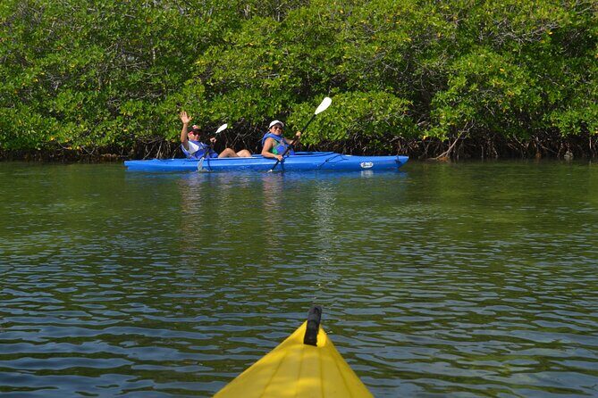 Private Key West Sandbar and Paddle by Boat - Dogs on board: a real plus if you travel with a pup