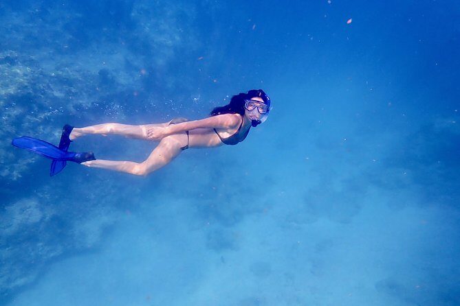 Private Looe Key Snorkel from Big Pine Key - Looe Key Marine Sanctuary: the reef you’re actually visiting