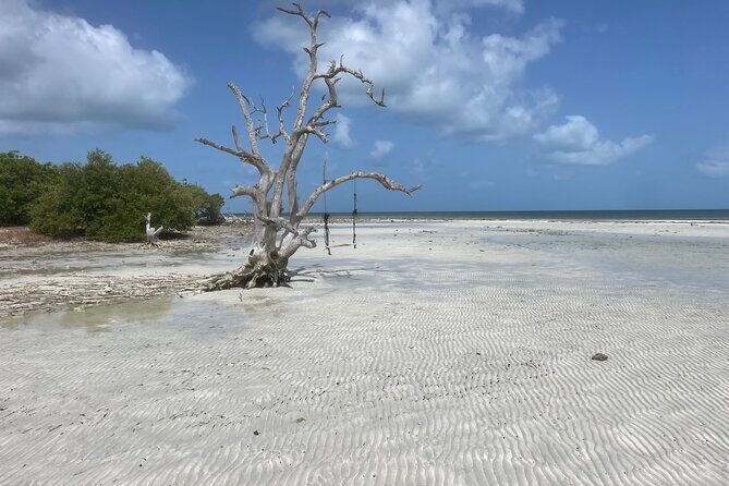 Private Sandbar Adventure in Key West Backcountry - What to Pack (So the Day Feels Effortless)