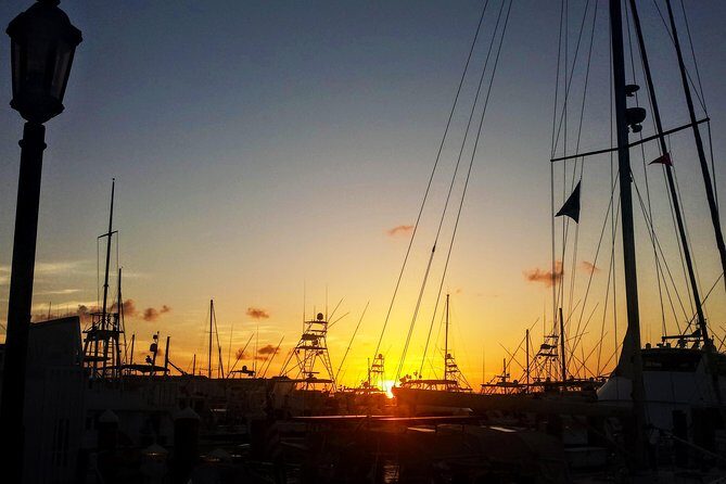 Private Tour of Florida Keys from Marathon to Key West - What to Expect on the Ground: Timing, Pacing, and Small Real-World Details