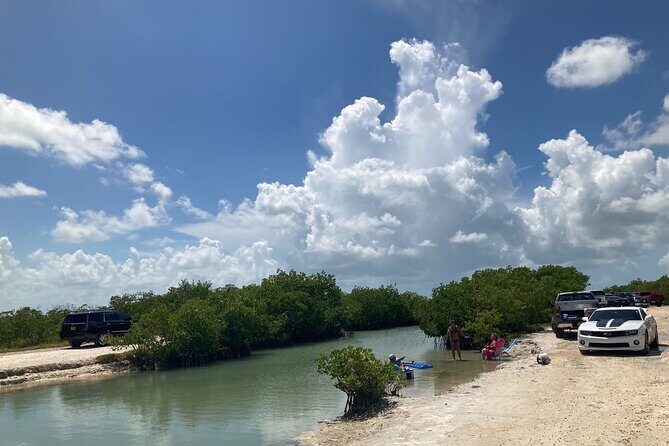 Road Trip through the Lower Keys Audio Tour - Stop 1: Blue Hole quarry—alligators, Key deer, and a short nature pause