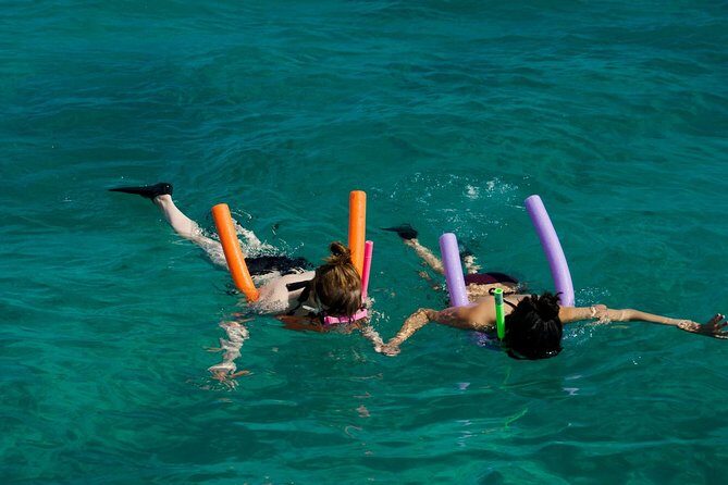 Shallow Water Snorkeling and Dolphin Watching in Key West - Why this Key West dolphin and snorkel combo works so well