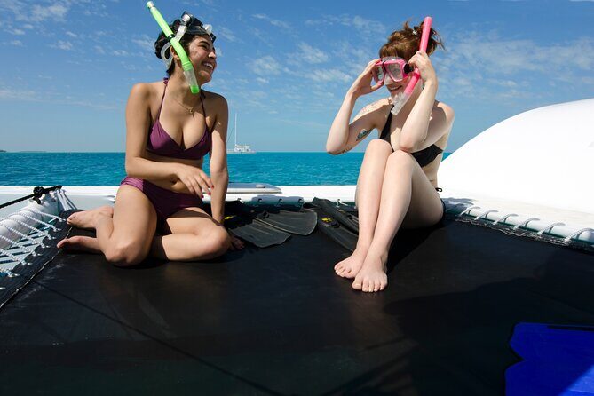 Shallow Water Snorkeling and Dolphin Watching in Key West - Getting on board: Key West Bight Marina and the Echo check-in vibe
