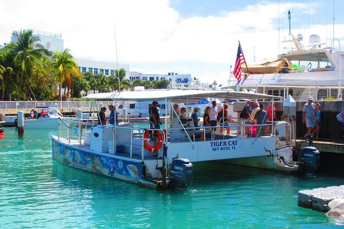 Shark and Wildlife Viewing Adventure in Key West - Shallow water mangroves: where birds, turtles, and stingrays hide
