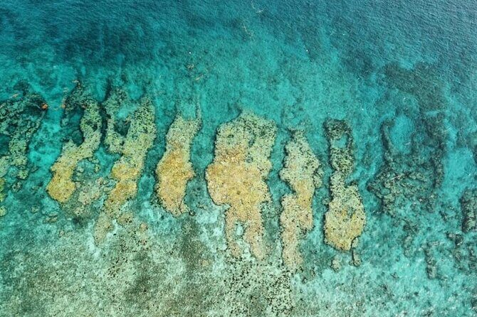 Small Group Key West Snorkel Adventure - What Beginner-Friendly Gear Actually Means Here