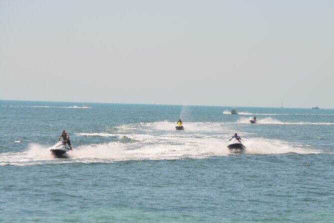 The Original Key West Island Jet Ski Tour from the Reach Resort - Wildlife and a Deserted Sandbar Break: The Part That Slows the Heart Rate